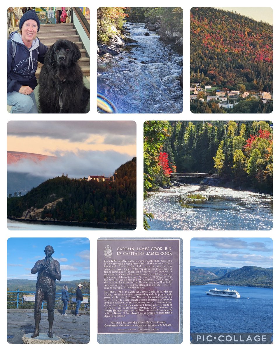 Cornerbrook, Newfoundland. One of the prettiest places I've ever seen.  The dog is Maggie, the newfoundland.