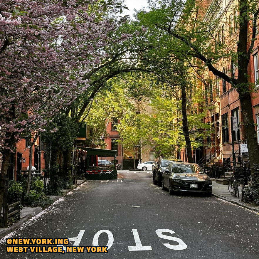 StrongTowns's tweet image. A recipe for great streets:

• Buildings close together and close to the street
• Narrow lanes
• Street trees

Anything else?
