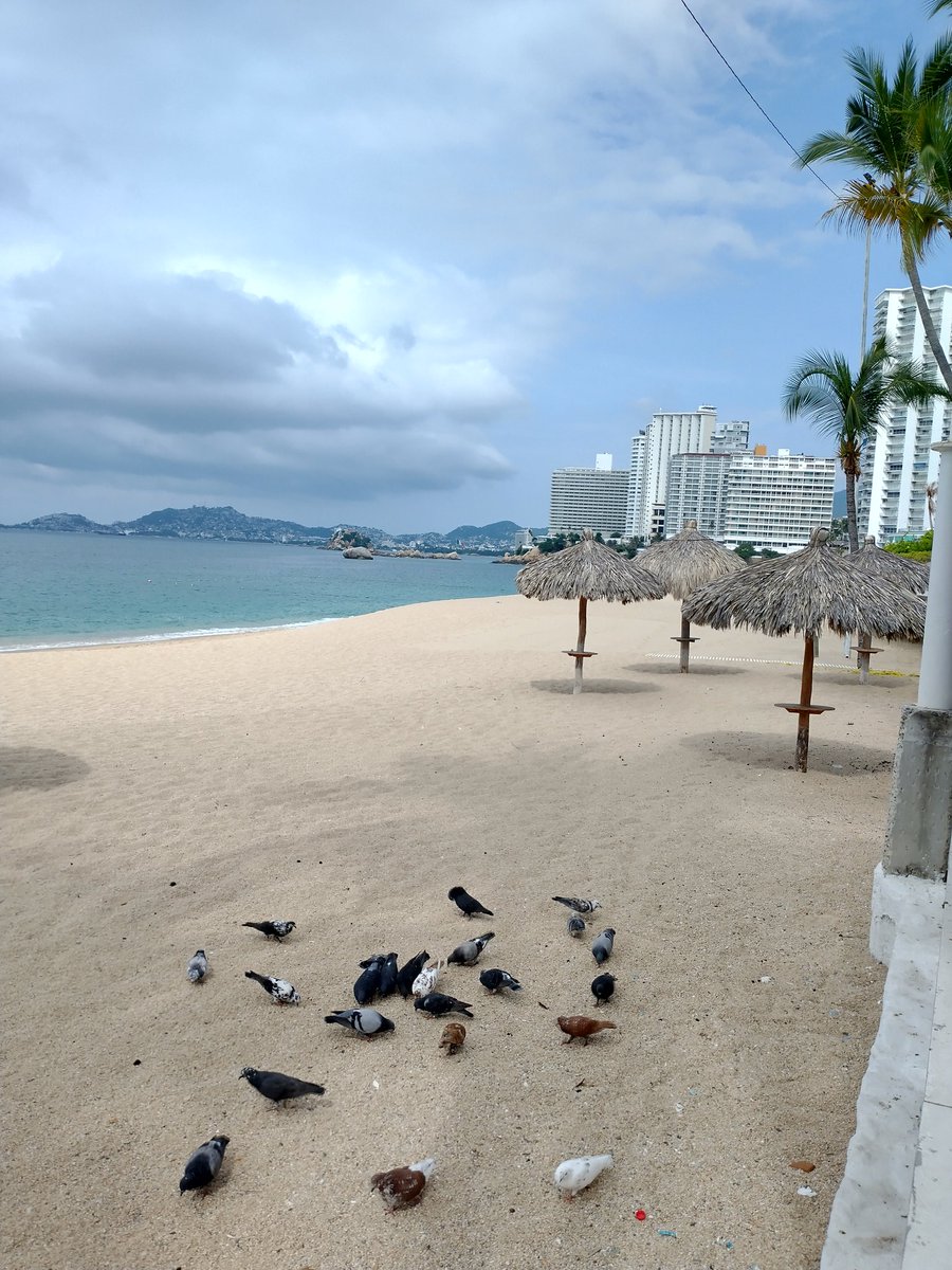 Acapulco Sunshine Reservaciones de Hoteles tweet media
