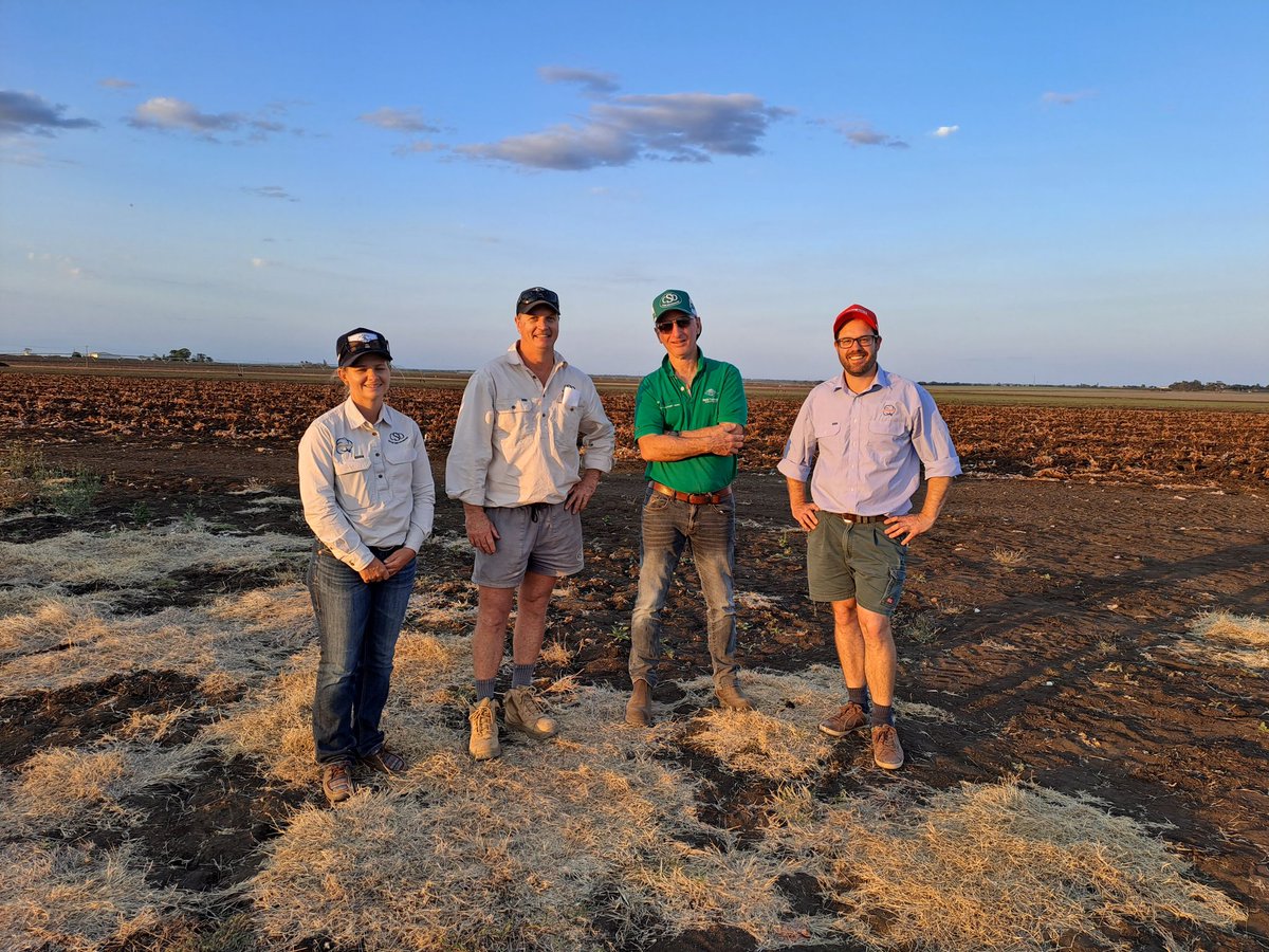 CottonHubUNE's tweet photo. Fantastic forum in #Emerald today on #SoilHealth and Nutrition with @CottonInfoAust. Fabulously healthy soils and a few familiar faces. Comfiest field day chairs ever.
Hope to get back soon. https://t.co/WQ4QJFKtGB