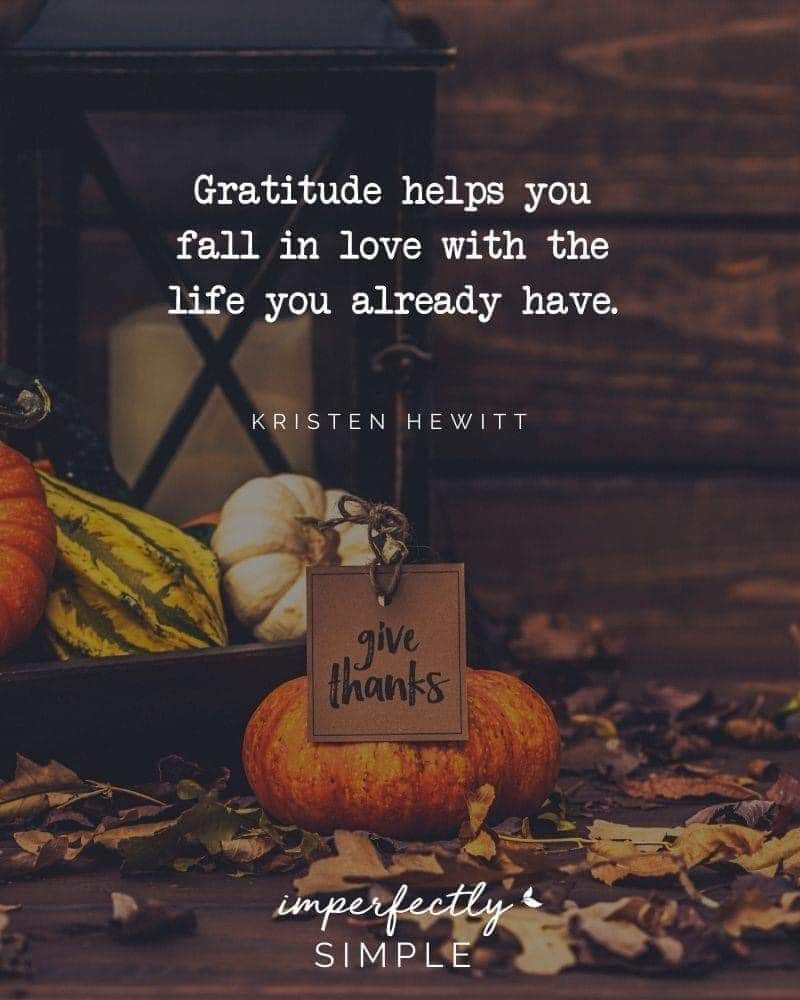 JaimeeR26's tweet photo. 🍁🍁🍁 https://t.co/EzXSkGT7HV