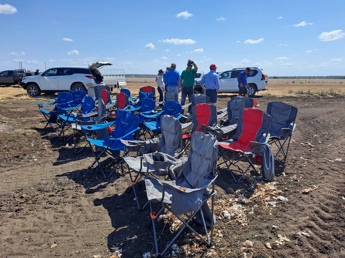 CottonHubUNE's tweet photo. Fantastic forum in #Emerald today on #SoilHealth and Nutrition with @CottonInfoAust. Fabulously healthy soils and a few familiar faces. Comfiest field day chairs ever.
Hope to get back soon. https://t.co/WQ4QJFKtGB