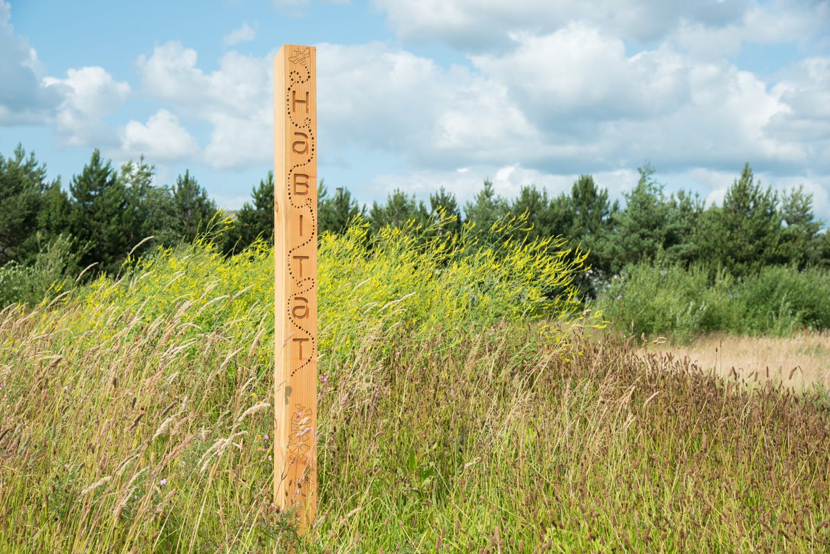 Absolutely buzzing to hear <a href="/Nichehabitat/">Niche</a>  has been shortlisted for the Pro Landscaper Sustainability and Biodiversity Awards in the 'Sustainable Product of the Year' category for our bee post! Woohoo! Looking forward to <a href="/FutureScapeUK/">FutureScape Event</a> and bringing these beauties to the show!