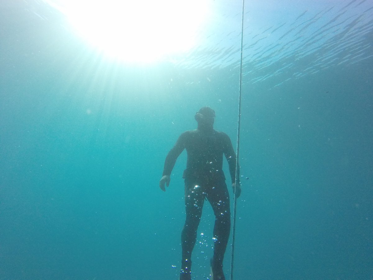 Freedive_Lamia's tweet photo. #freedivelamia #nature #spearo #spearfishing #freedivingphotography #freedivelife #gopro #goprounderwater #athletes #apneaacademy #apneapassion #apnea #staticapnea #freedivelife #freedivinglife #xtdivingpro #wetsuit #freediver https://t.co/A8zWOFw8XA