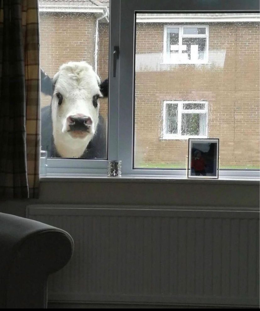 simonfacio1's tweet image. Soy de los que invitas a las 21 a tu casa y 20:59 estoy ahí así