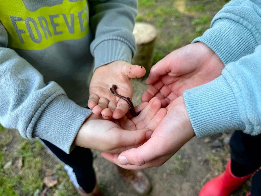 NineAcresPri's tweet image. Nine Acres Y1 do Forest School in style 💚🌳⛏️🪓 developing our hand eye coordination and spending time with our friends outside 
#1%extra #forestschooladventure #timetobe