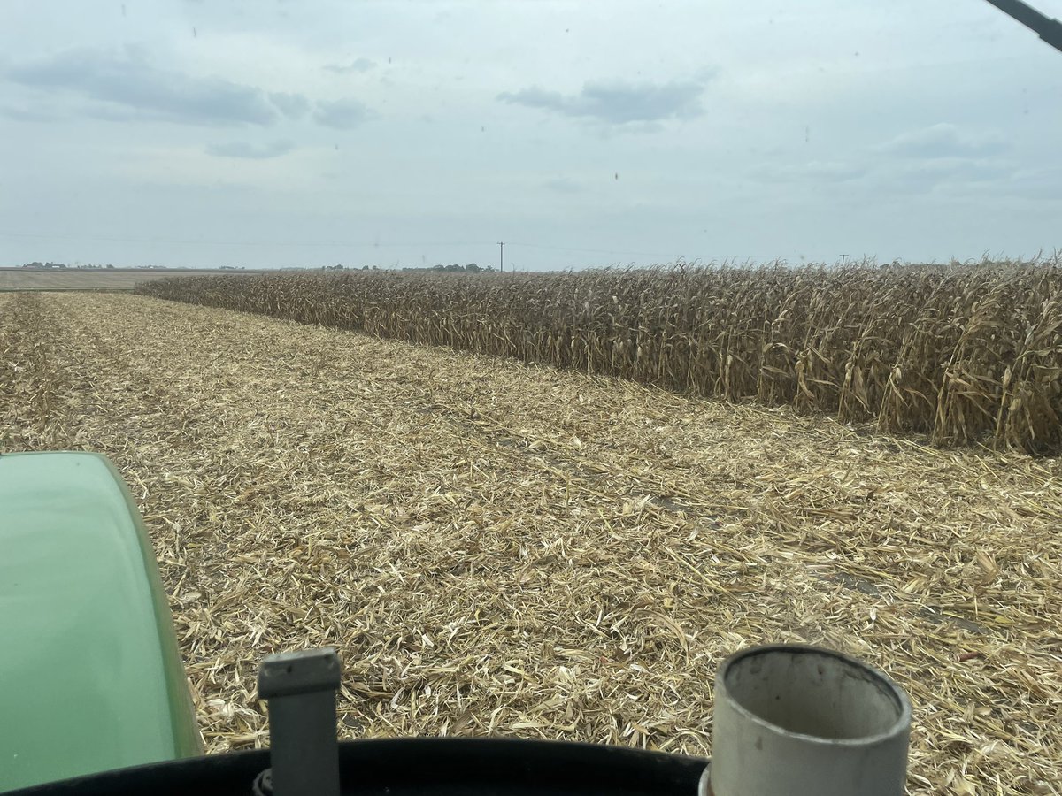 Plot removal time