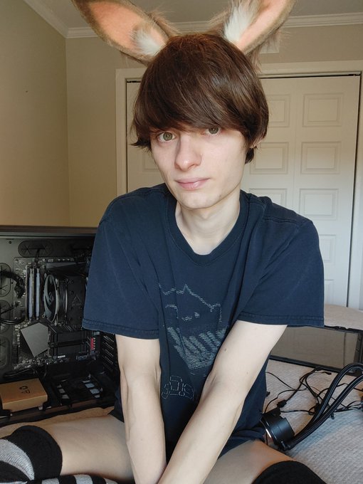 Currently building my server :3 ~  *Nerdy bunny sounds* 💾 https://t.co/ATUHsLfSxC