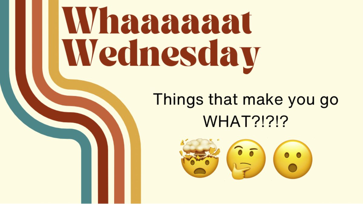 Kristen Rueb tweet media