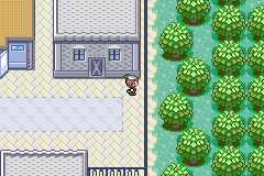 TodoPasso's tweet photo. Dia 571. UUMMMMMRRF. Sem comentários só me segue na principal.
#Pokemon #PokemonScarletViolet 
#Passoverso
Objetivo Rustboro Gym
Não esqueçam de votar e dar RT https://t.co/PjpdQM6Uea