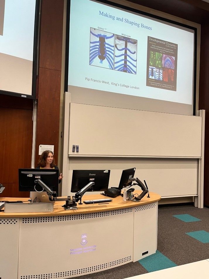 anat_soc's tweet photo. The Anatomical Society awarded Dr Zubeyde Bayram-Weston @ZBW23 (Swansea University) a departmental seminar grant to host Professor Philippa Francis-West (King's College London)
to deliver a talk on 'Making and Shaping Bones'. Read the report here ---> https://t.co/VjD10H46WD https://t.co/EYmQ9C32Rq