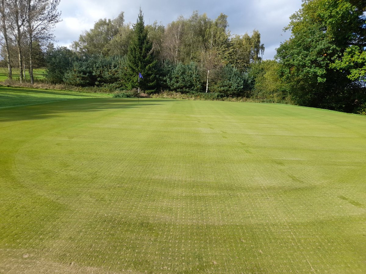 Lucky with the weather today. greens drying out fill the holes with sand.
Sweep and fill 👌👊
@tombutcher2 
@tommymania 
@andyaitkens74 
@Cleoburygolf 
@Adam_Terralift 
@terralift @Aitkens_turf 
@WilliamTerralif