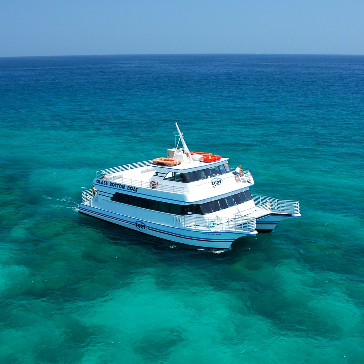 FuryKeyWest's tweet photo. With Fury's #GlassBottomBoat #EcoTour, you can get up close and personal with #seaturtles, sting rays, and tropical #fish along North Americaβs only living #coralreef. The best part? You won't get wet! π πͺΈ π https://t.co/GHP0z4U3gx https://t.co/8V85Y3VpqI