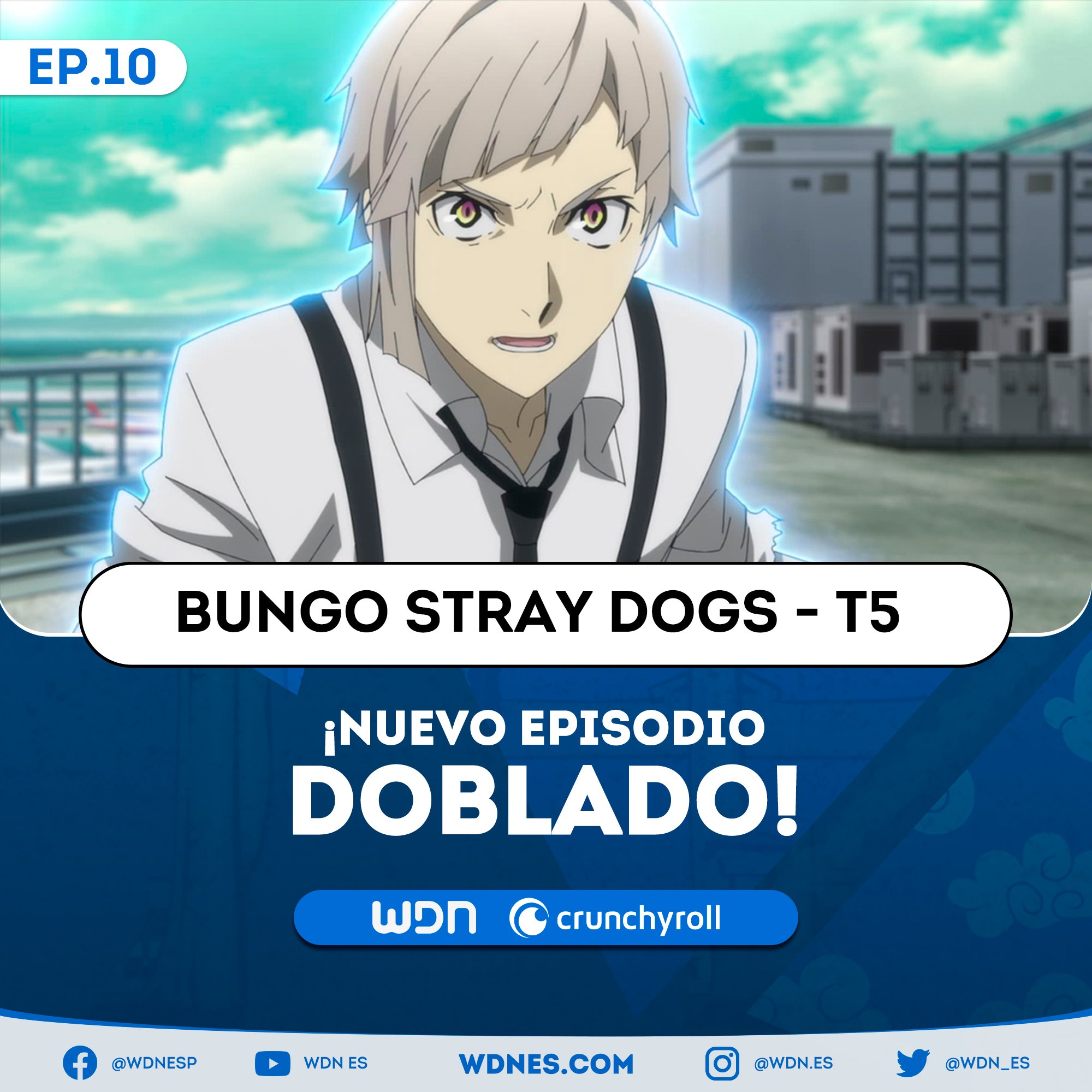 WDN - World Dubbing News on X: 🌻 NOVO EPISÓDIO DUBLADO DISPONÍVEL: ☀ Bungo  Stray Dogs S5 - Episódio 11 (Final) 🎉 🧡 Assista na Crunchyroll.   / X