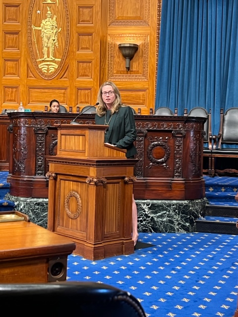 I was proud to speak on the floor in support of this bill, building on our pay equity laws to require info on salaries upfront and track salary data for racial and gender disparities. TY to so many advocates @RepDaveRogers @joshscutler @TeamBrandy617 @senjehlen @MAWomensCaucus