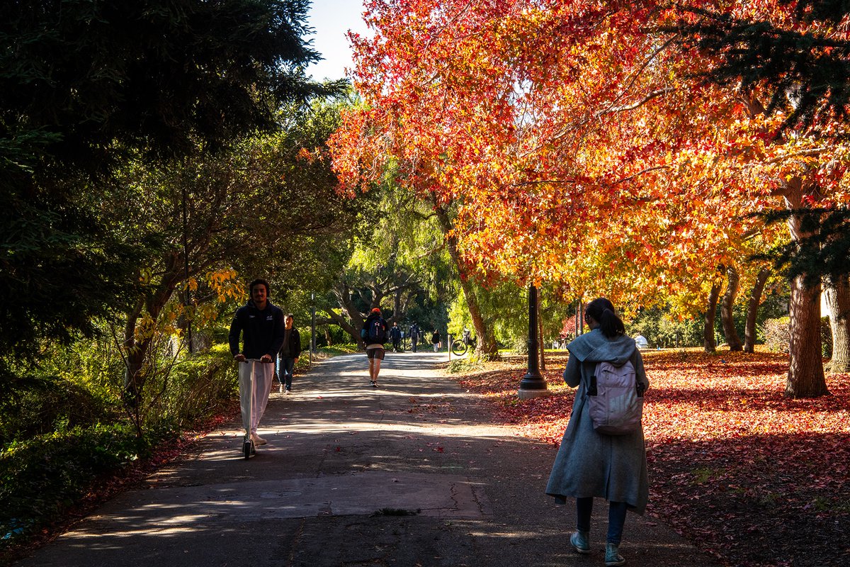 CalAdmissions's tweet photo. Fall photo dump ๐๐๐ฒ๐
UC Berkeleyโs campus during this time of the year really gets us in our feels.
๐ธ: Keegan Houser
#berkeleypov https://t.co/cvGCj4l5dl