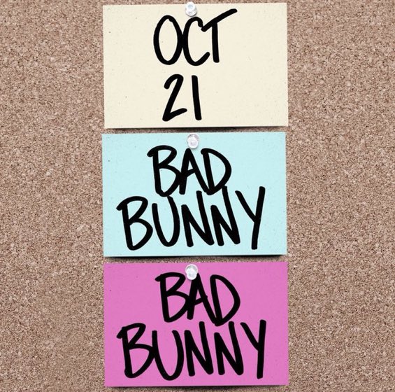 SNL HOST. 🤍 BAD BUNNY HOSTING SNL OCT 21st 🥹🤍