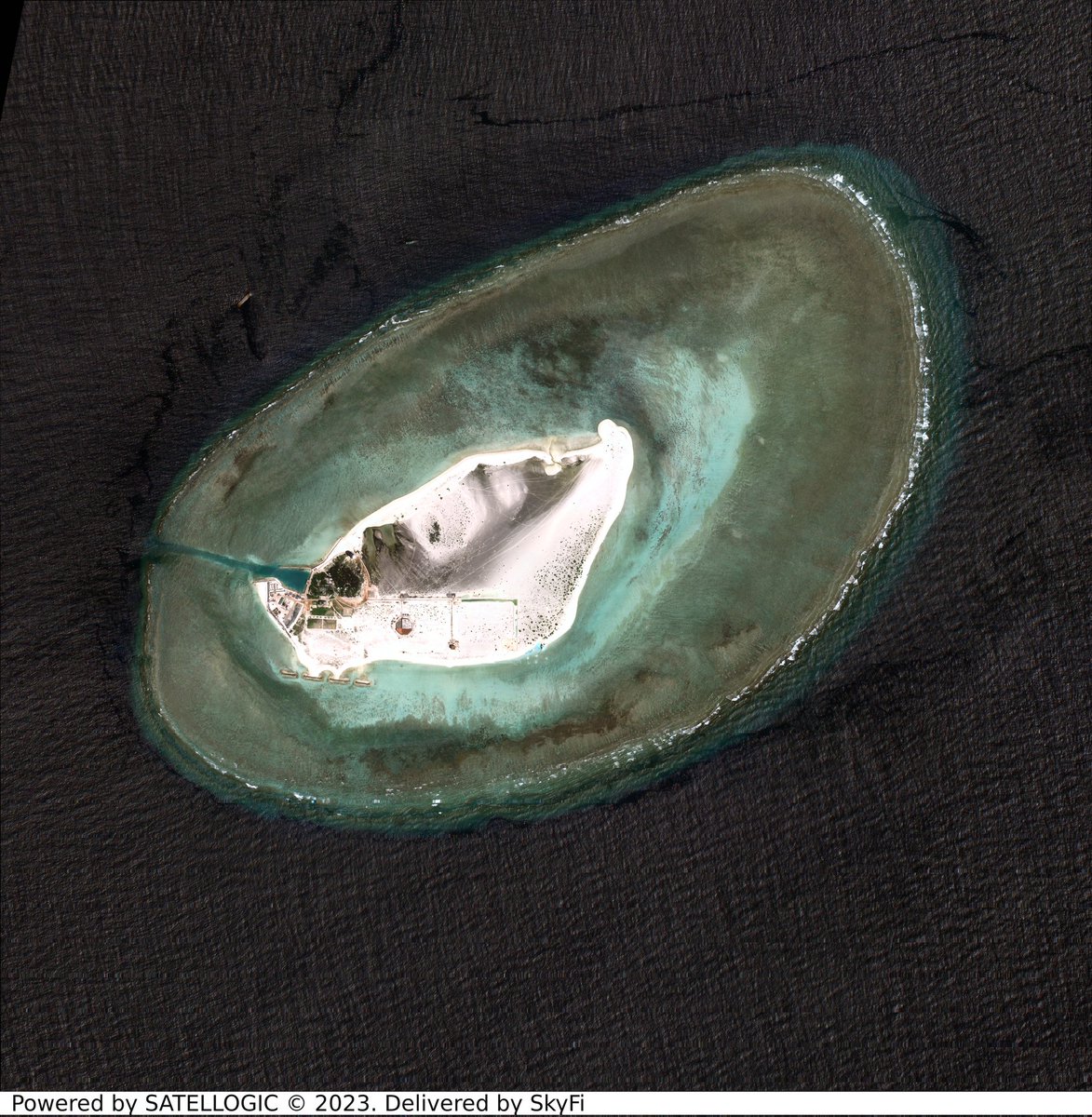 Bill Perkins (Guy) tweet media