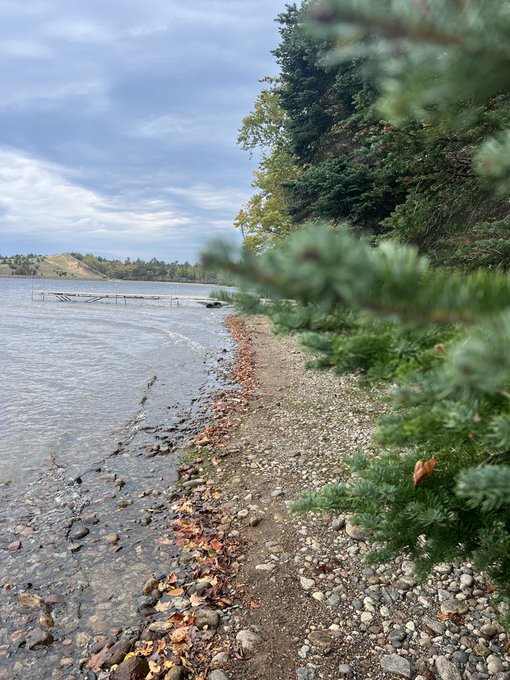 This week in life: I&rsquo;m doing a van tour 😇 content coming to OnlyFans!! https://t.co/dGe9NfBMQ7