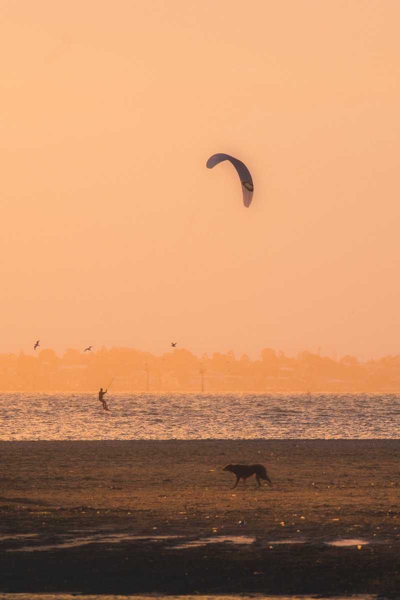 awaywithivan's tweet photo. What photograph means to you? @awaywithivan #photograghy #NaturePhotograhpy https://t.co/sQC0GtKVhK