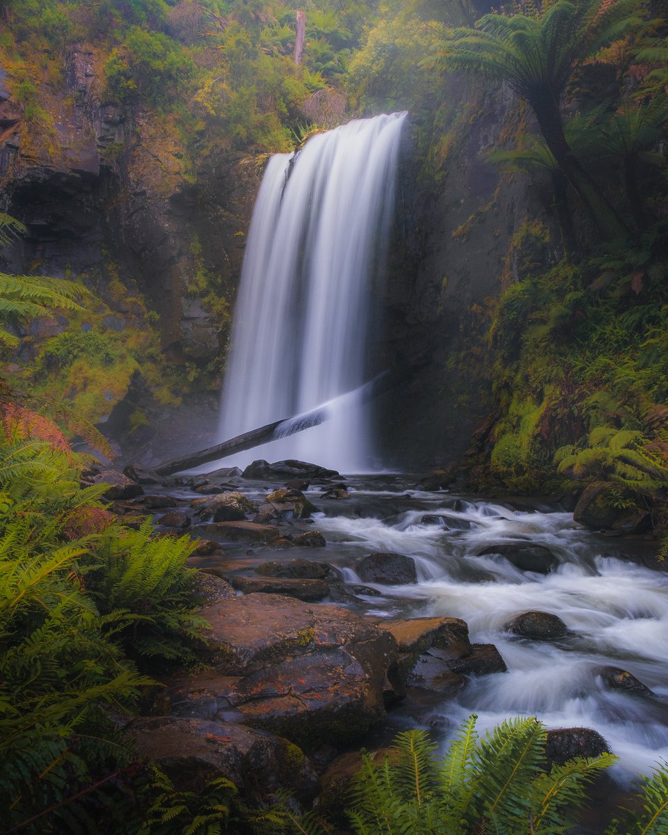 awaywithivan's tweet photo. What photograph means to you? @awaywithivan #photograghy #NaturePhotograhpy https://t.co/sQC0GtKVhK