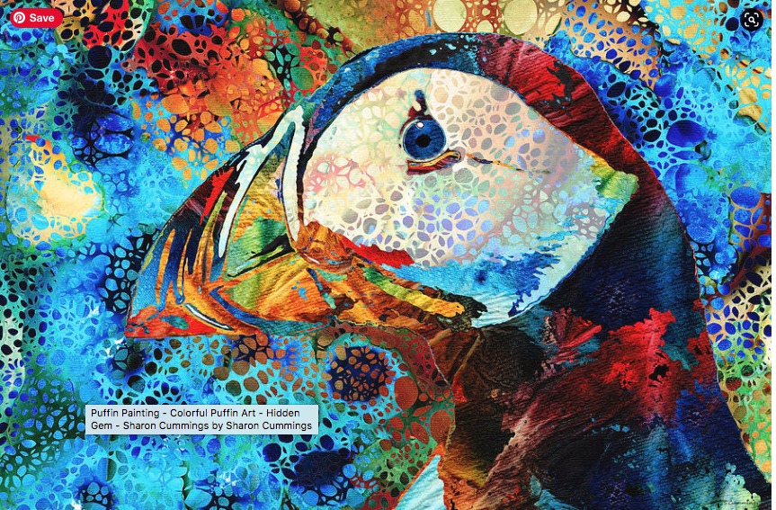 Colorful Puffin HERE:  fineartamerica.com/featured/color… #puffin #bird #birds #birdwatching #colorful #art #artwork #animals #AYearForArt #BuyIntoArt