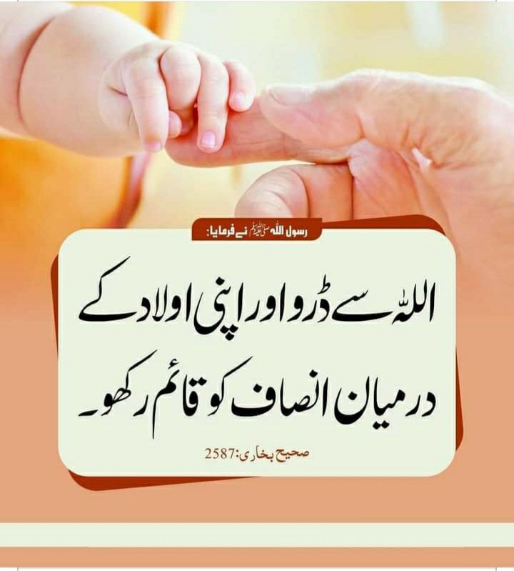 Z A L A N D A 🫀 🦋 (@amber_twilight3) on Twitter photo 