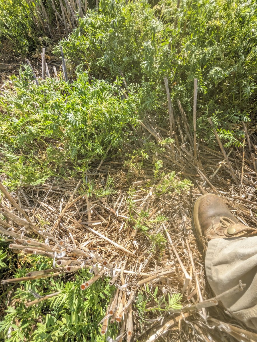 Tim Rethus tweet media