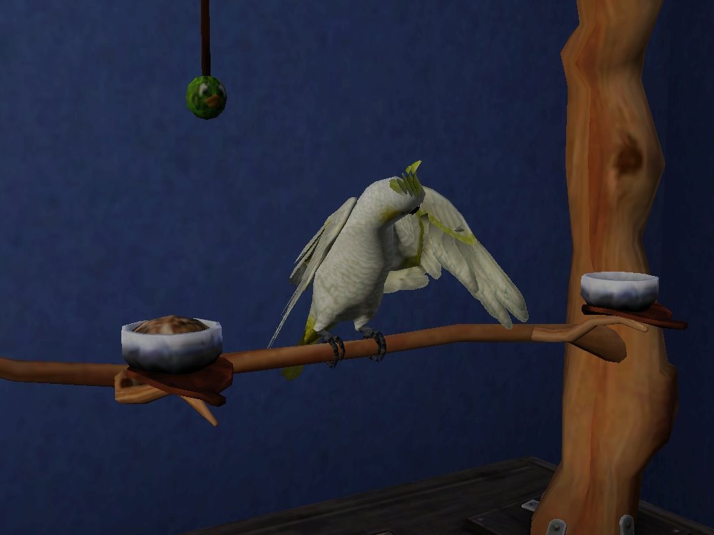 adibahts3's tweet photo. In The Sims 3 Pets, if you have a large pet bird, then the bird will make a false phone call, and the sim who heard that will answer the phone, but it turned out to be fake.
(I wish I can record the bird phone call sound, so I have more valid proof).
#thesim3 #ts3 https://t.co/lNl8kzP69N
