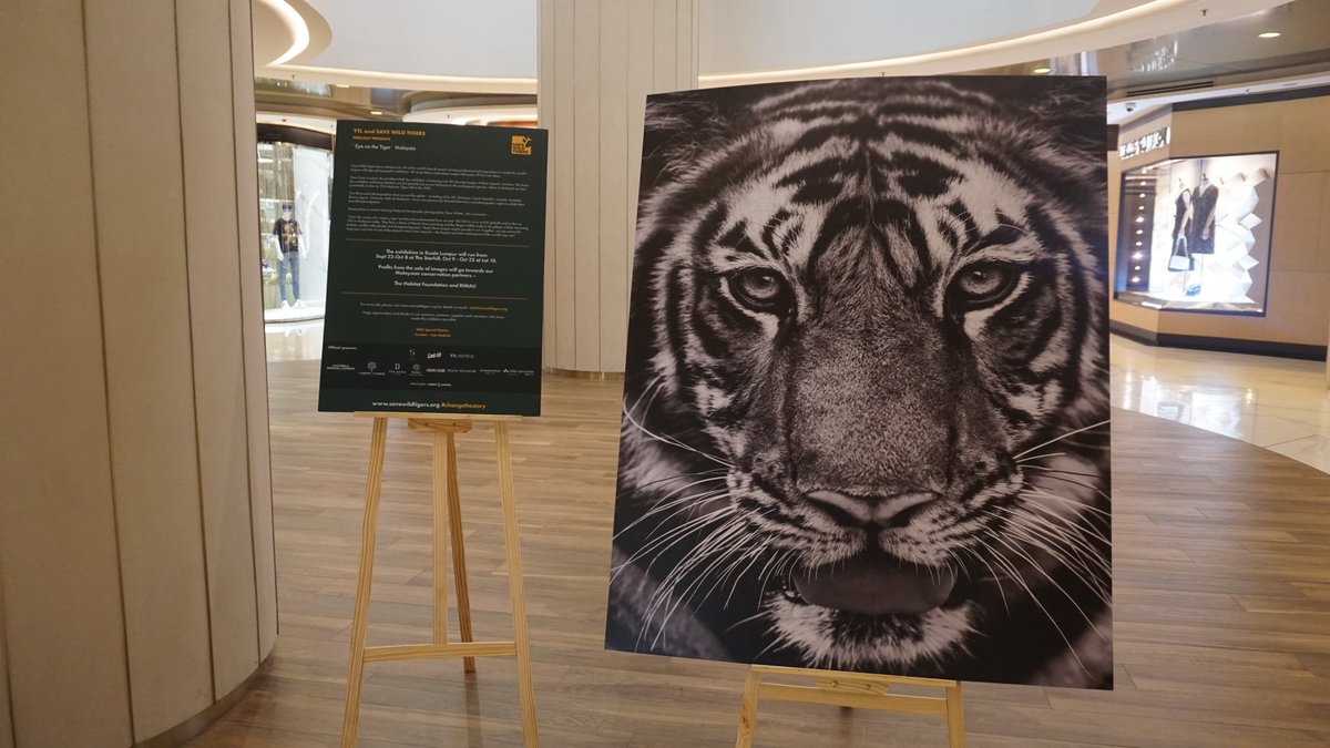 YTLForceForGood's tweet photo. Held at The Starhill on September 21st till October 2nd, 2023 the "Eye on The Tiger Photo Exhibition" was a captivating visual journey and be sure not to miss the same exhibition at Lot 10 from October 9th to 22nd. https://t.co/1LNIP8Cd0d