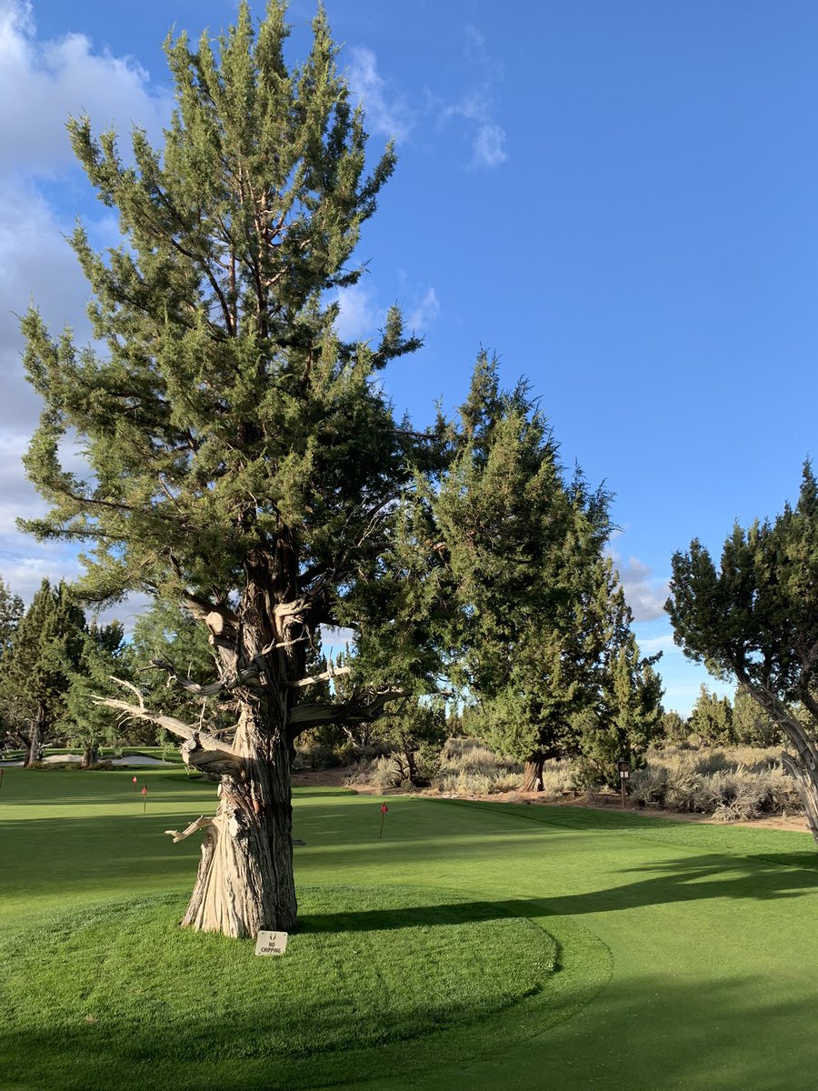Fantastic meeting in Pronghorn this week for the 2023 Northwest Turfgrass Association meeting. Massive thank you to David Freitag for hosting everyone, to the <a href="/NTA60232900/">NTA</a> for funding OSU research work, and to all who attended the education sessions