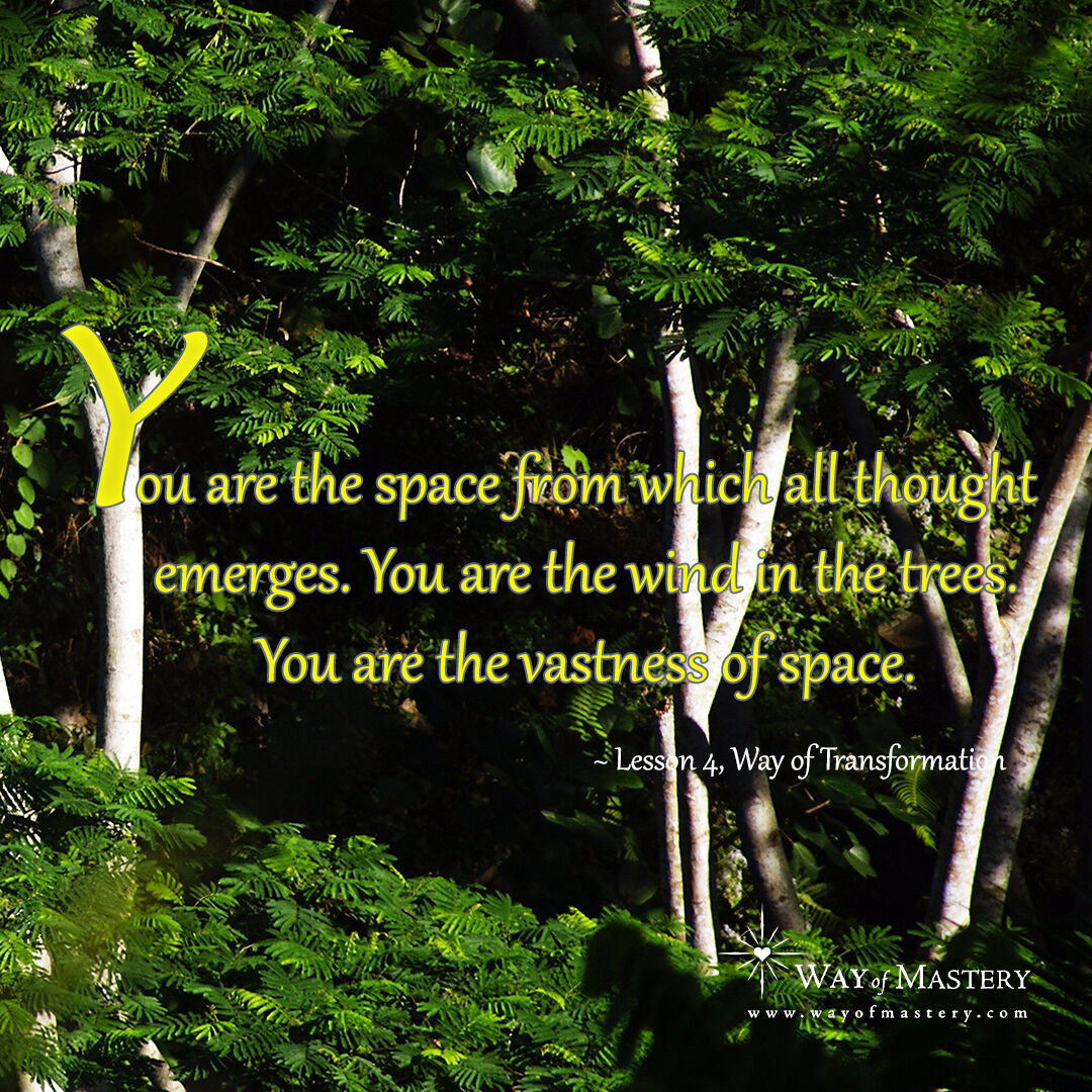 wayofmastery's tweet photo. You are the space from which all thought emerges. You are the wind in the trees. You are the vastness of space. ~ Lesson 4, Way of Transformation
#wayofmastery #friendsoftheway #jeshua #jayem #womlibrary #divine #remembrance #wayoftransformation #oneness #unity #eternity https://t.co/FV0Hkqv4Tf