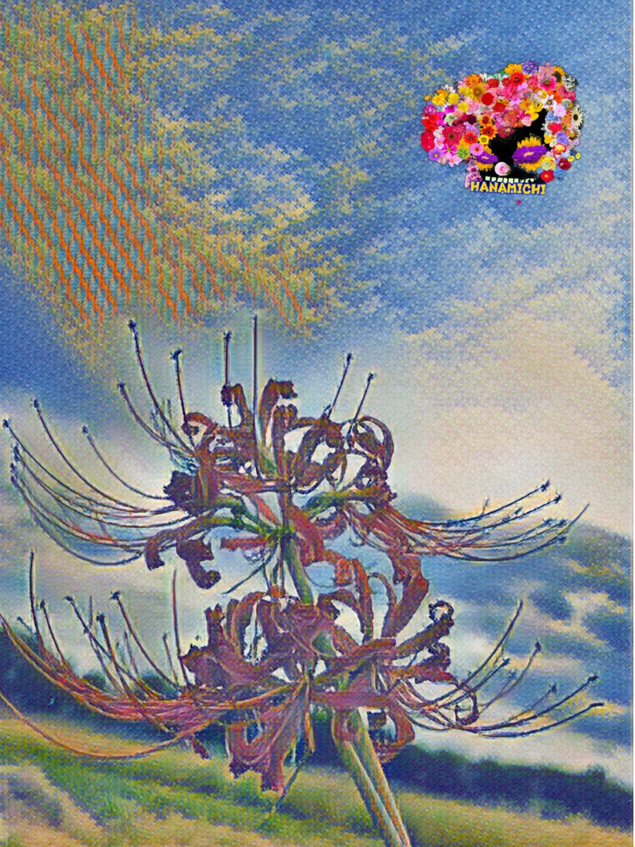 Leopon3230's tweet photo. 隙間時間に #PsCamera で撮影した彼岸花でございます♪ #花族 https://t.co/xTA4J0Hnuo