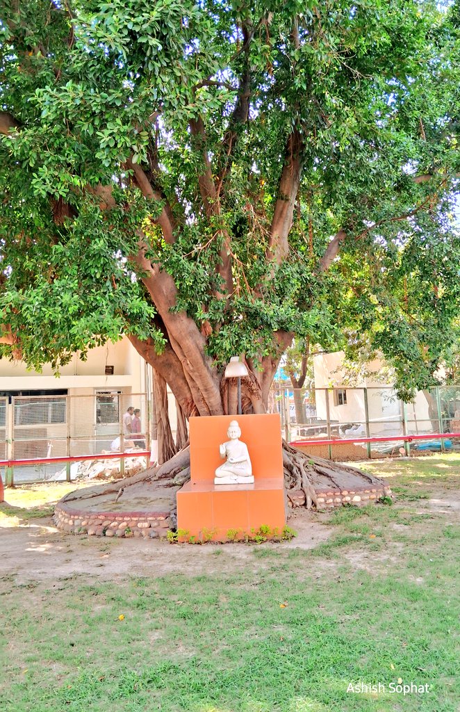 ashishsophat1's tweet image. &quot;Just be fully aware &amp;amp; mindful of your intentions...
Responsibility for each of your actions will automatically come.&quot;
•Ashish Sophat

#gratitude #mindfulness #soultalks 
#ashishsophatquotes