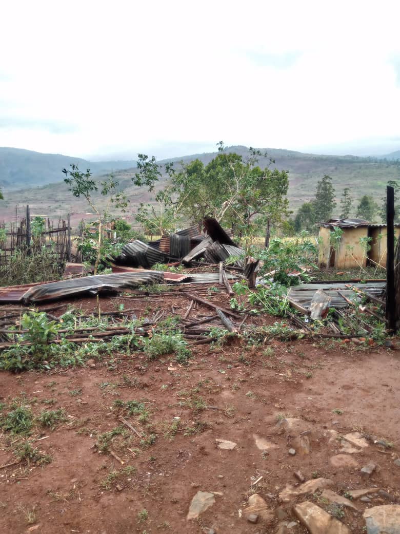 Livert Mudzingenyama tweet media