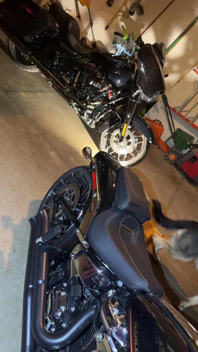 labeutler's tweet photo. My babies. Adding some tie down bracket so I can be the one who trailers their bike to a warmer climate for some fun. #BikeLife #BikerBabe #HarleyDavidsonRider https://t.co/wJYAg1lYQS