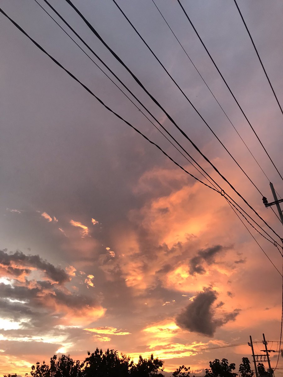🌤 tweet media