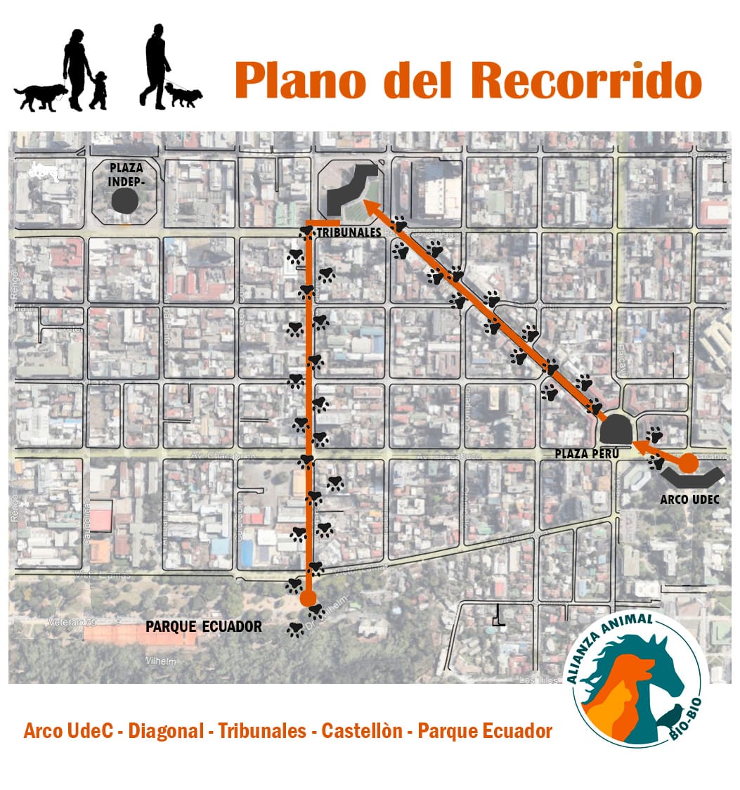 A_AnimalBiobio's tweet photo. 📢‼️SEGUNDA GRAN CAMINATA PARA LOS SIN VOZ‼️📢

#Concepción se une al movimiento nacional contra el maltrato animal❗️🐤🐧🦅🦊🐯🐮🐷🐱🐶

🟢 Sábado, 14 de Octubre, 12 hrs.
ARCO UdeC
Más info insta: 
@alianzanimalbiobio
@marcha_animalista 
https://t.co/fEuePZCqmk https://t.co/ZsGVGZD6QQ