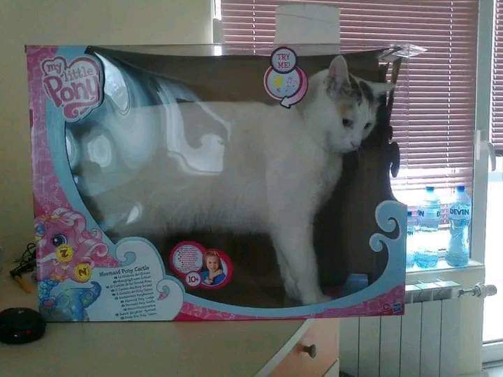 XxkittydeathxX tweet media