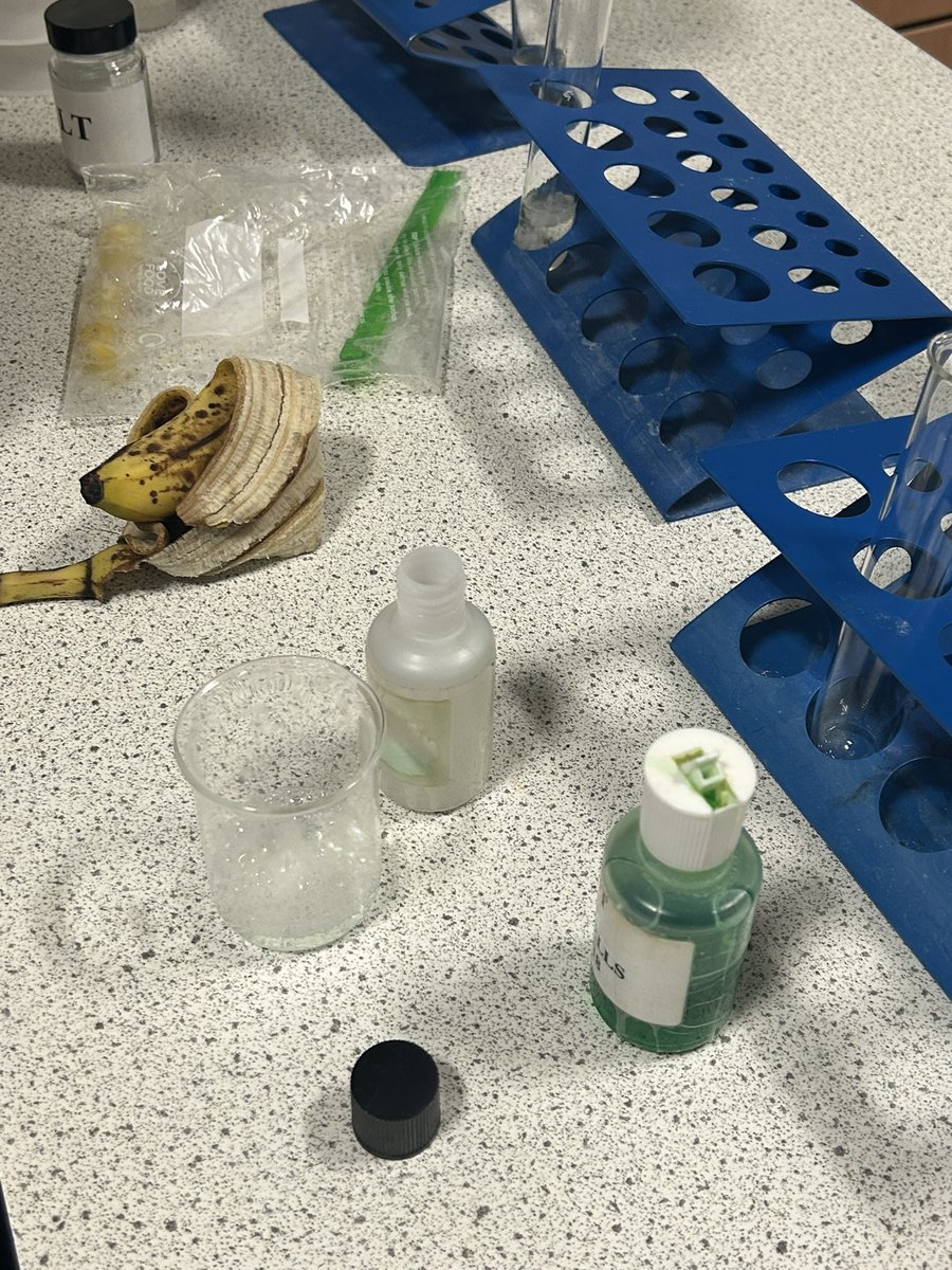 KilsythAcademy's tweet photo. Thank you to all the families who came along to our open night. We hope you enjoyed seeing our school and trying out some of the activities. An excellent turnout from our pupils who were proud to show you our school. https://t.co/NG6nhXcIWO