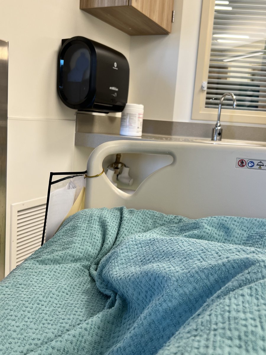 TigersWanted tweet media