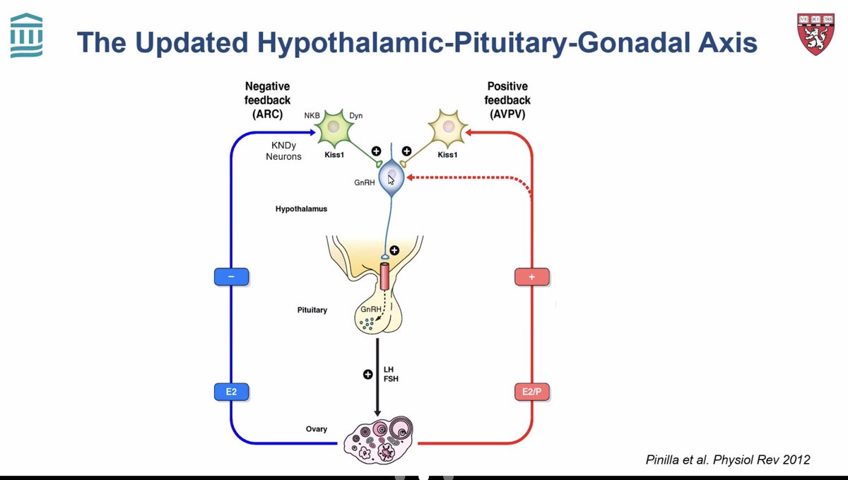 CUEndocrinology tweet picture