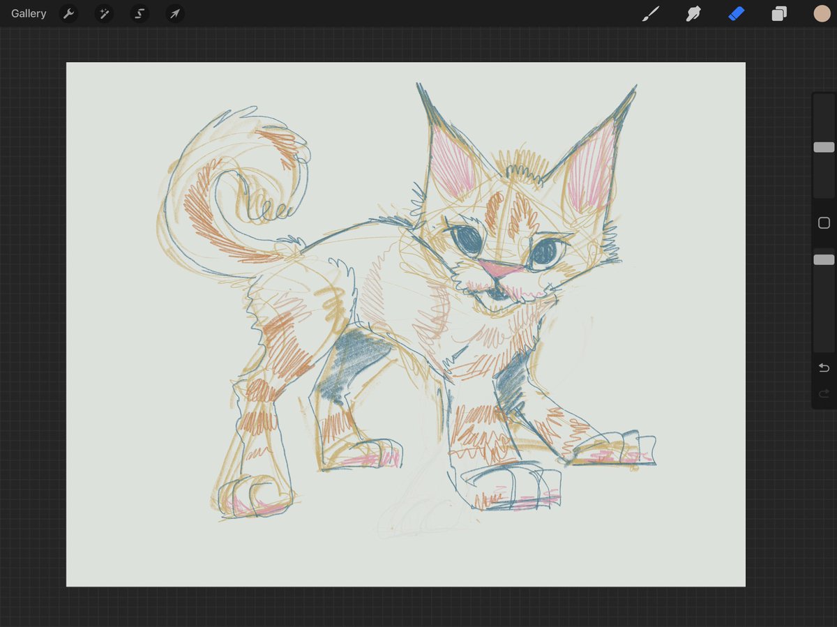 Kitty sketch #sketchbook
