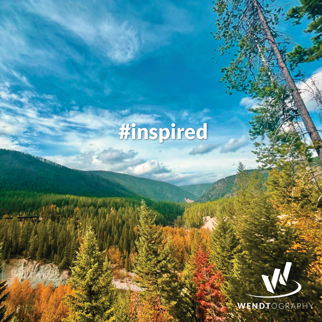WendtAgency's tweet photo. Fall in #Montana is short. But it #inspires. https://t.co/baFMd5hoWg