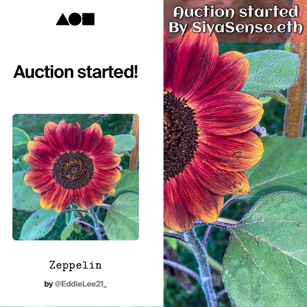 ᴇᴅᴅɪᴇ 🌻 tweet media