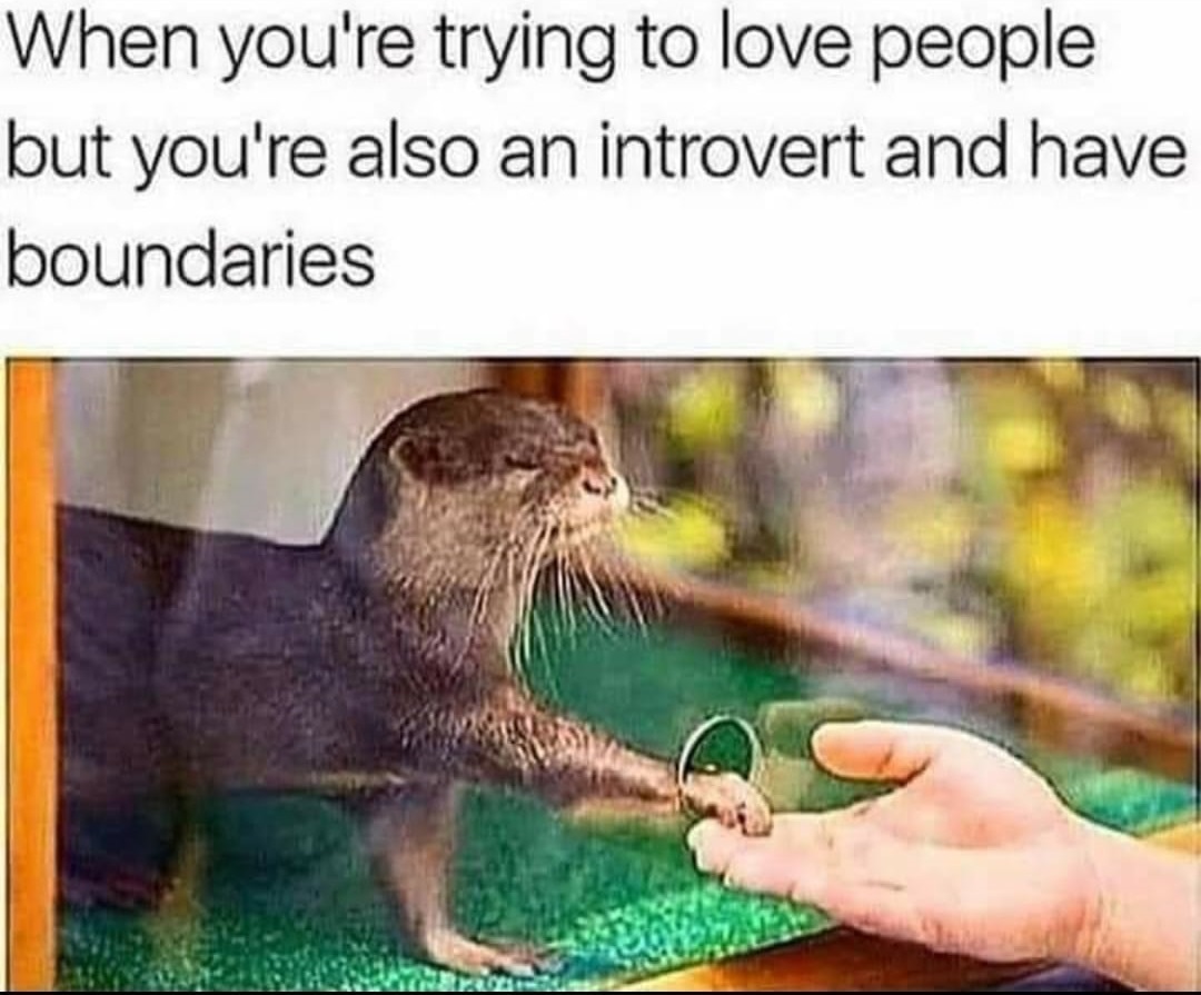RespectfulMemes's tweet photo. https://t.co/G1rI45peMZ