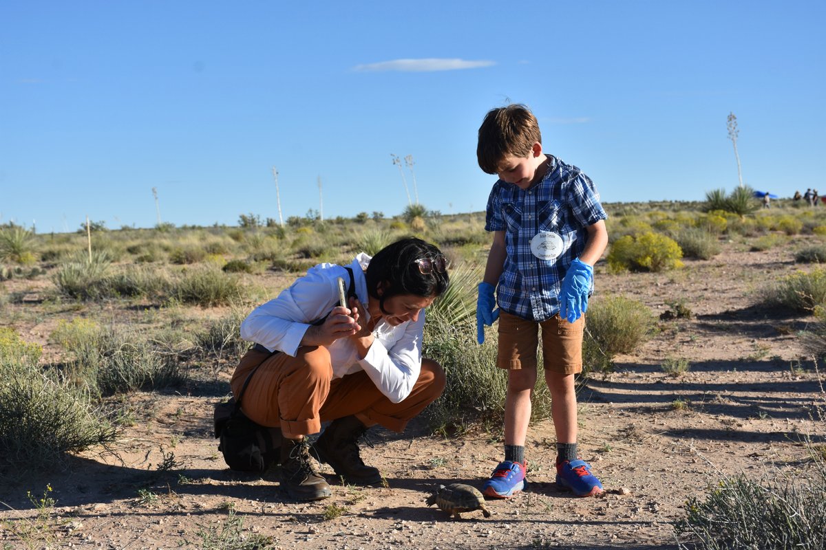 SenatorHeinrich's tweet photo. Last year, I visited with conservationists working to repopulate Bolson Tortoises. This fall, dozens of Bolson Tortoises were released at Armendaris Ranch in New Mexico.
2022:                                   2023: https://t.co/XuNF9wR4TS