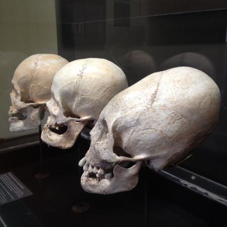 Enkidoo72's tweet photo. The mysterious sites found all around the World.. 

Were not built by ‘us’ 

They were not built by ‘our ancestors’

In fact ‘we’ murdered the species that did build them

The elongated skulls of that species have been found all over the World, in mounds henges and pyramids https://t.co/gjPpSOfKgb