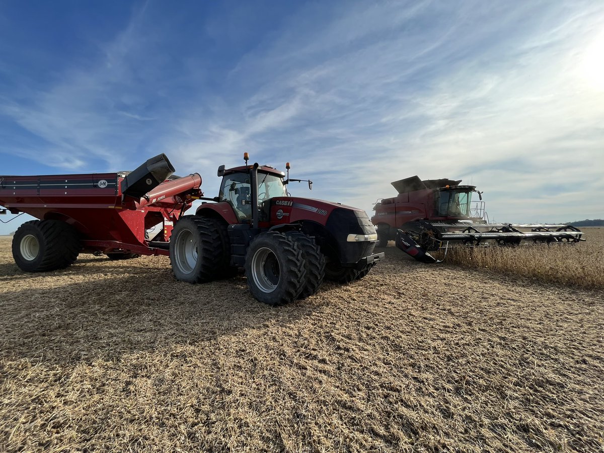 Fantastic weather for cutting beans <a href="/Maizex/">Maizex Seeds</a> Cyclone R2X showing up big with awesome yields on Haldimand clay! <a href="/bprinzen/">Bert Prinzen</a> #FieldByField