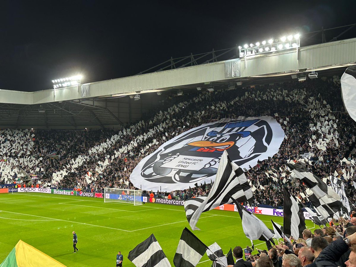 Charlotte Elmore tweet media